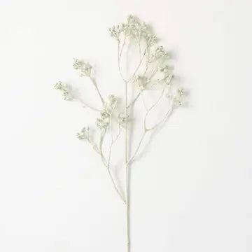Cream Green Brilliant Berries