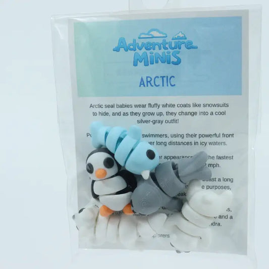 Adventure Minis Arctic Set